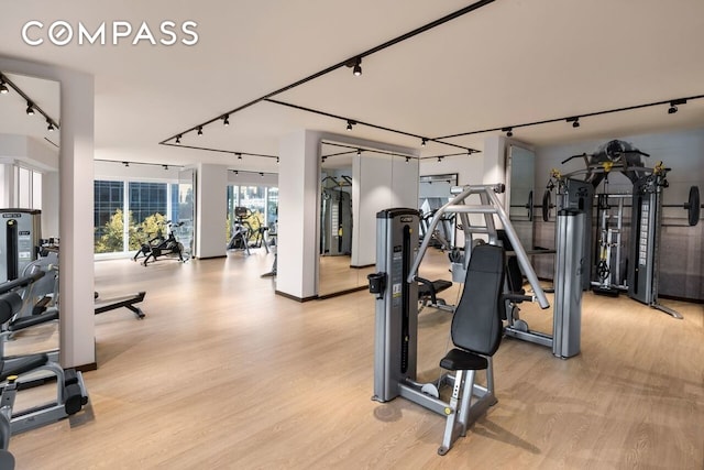 exercise room featuring light wood-type flooring and rail lighting