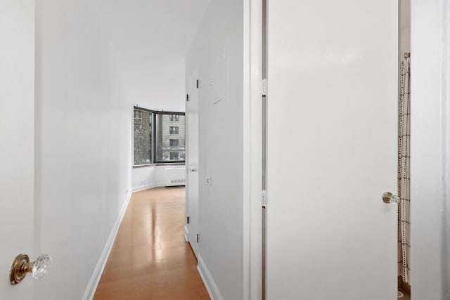 hallway with radiator heating unit and light hardwood / wood-style flooring