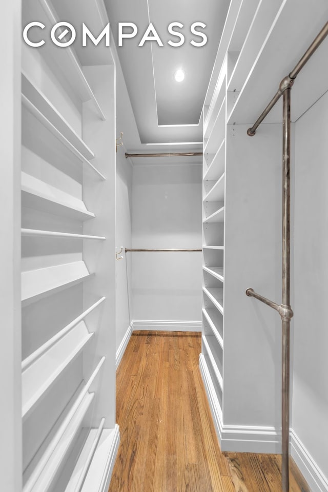 spacious closet featuring wood finished floors