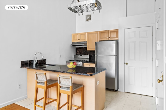 kitchen with appliances with stainless steel finishes, a sink, a peninsula, a high ceiling, and under cabinet range hood