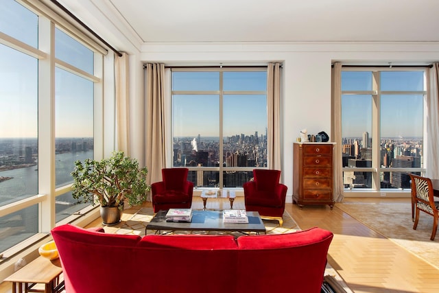 living area featuring a view of city and crown molding