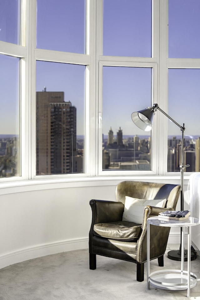 sitting room featuring carpet floors, a view of city, and baseboards