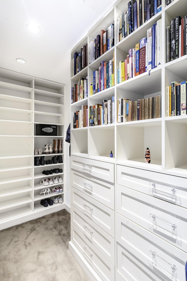 spacious closet featuring carpet