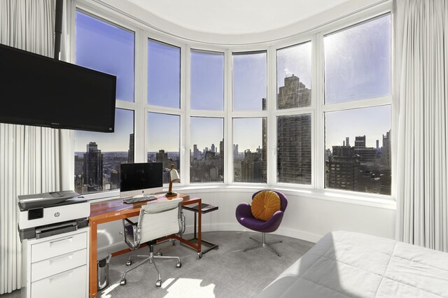 181 E 90th St Unit Ph-32A, New York City, NY 10128 - office area with carpet and baseboards