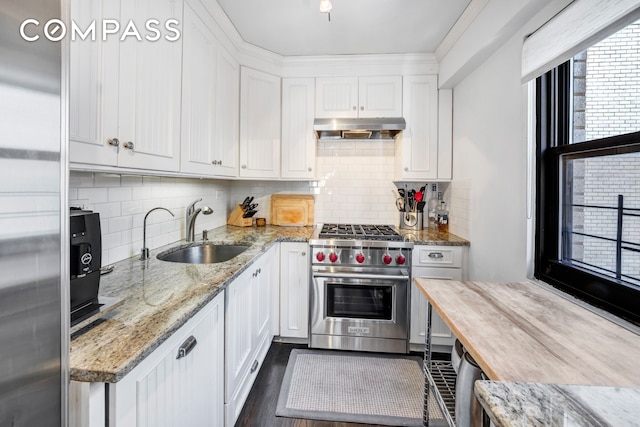 kitchen with designer range, ventilation hood, a sink, white cabinetry, and decorative backsplash