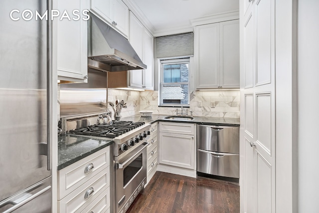 kitchen featuring stainless steel appliances, under cabinet range hood, dark stone counters, dark wood-type flooring, and a sink