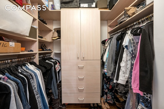 345 E 56th St Unit 11C, New York City, NY 10022 - view of walk in closet
