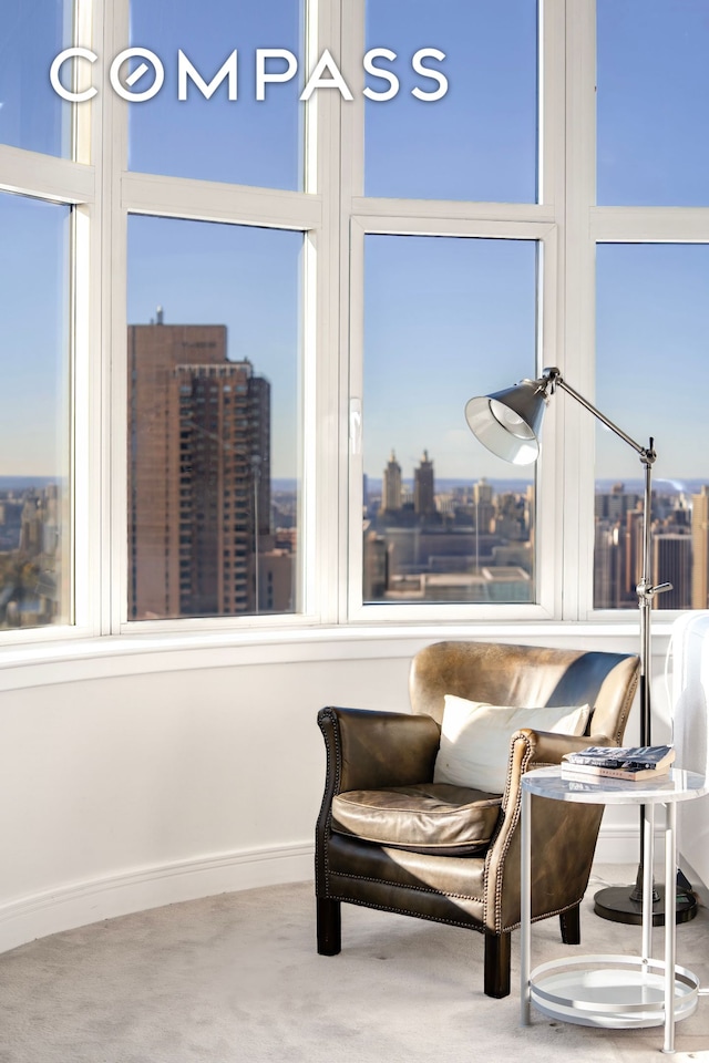 181 E 90th St Unit Ph32A, New York City, NY 10128 - sitting room with carpet and a city view