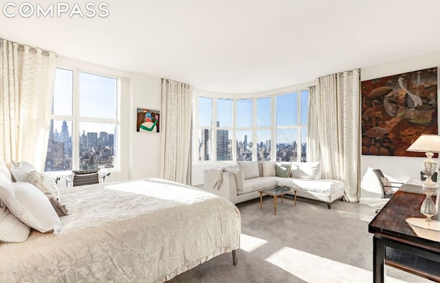 view of carpeted bedroom