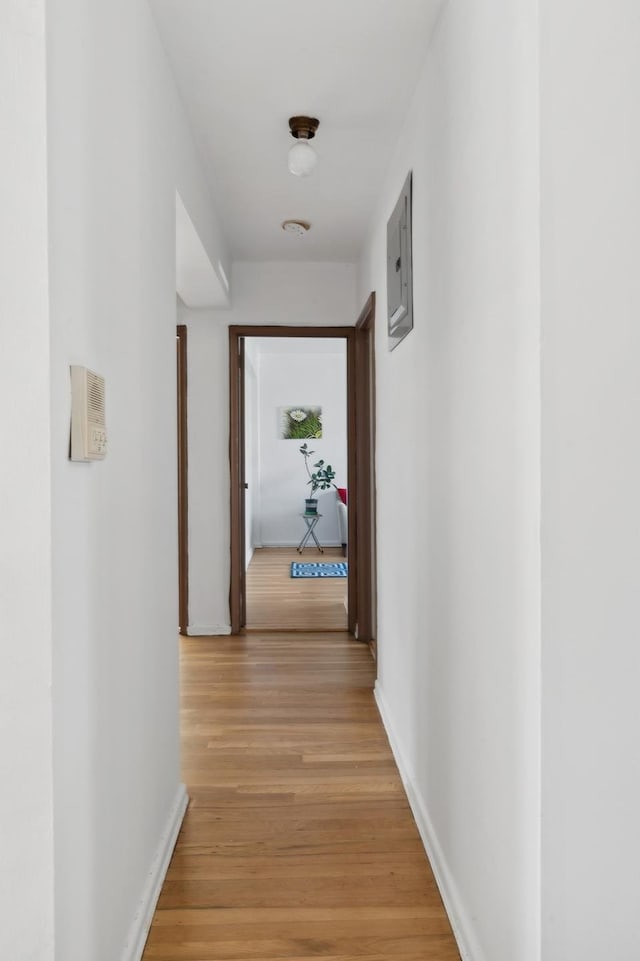 corridor featuring electric panel, light wood-style flooring, and baseboards