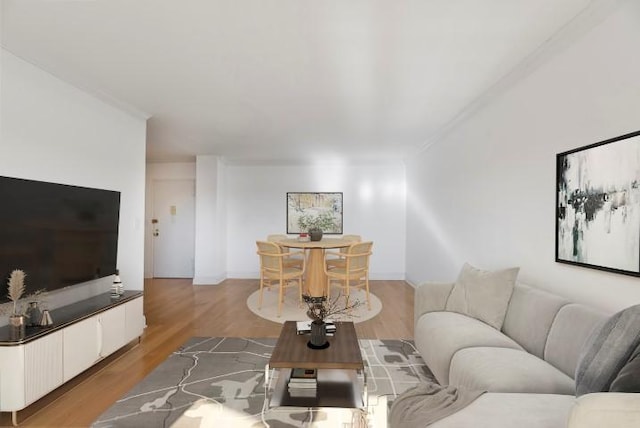 5800 Arlington Ave Unit 11E, New York City, NY 10471 - living area with light wood-style flooring