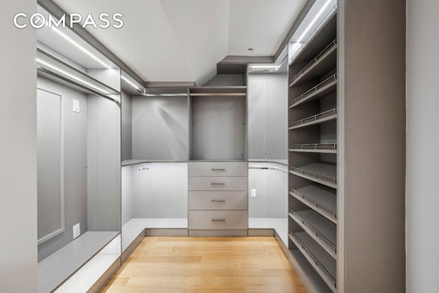 walk in closet featuring light hardwood / wood-style flooring