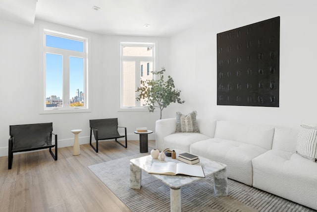 living room featuring light hardwood / wood-style floors