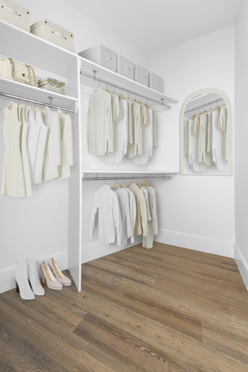 spacious closet featuring dark wood-type flooring