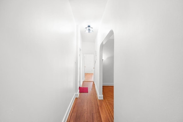 hallway featuring wood-type flooring