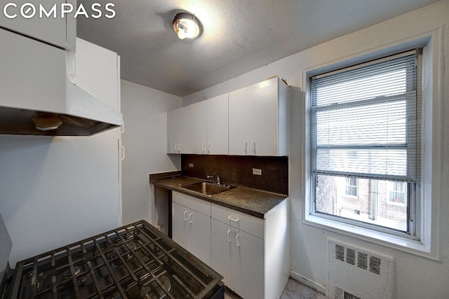 kitchen with tasteful backsplash, a wealth of natural light, sink, white cabinets, and radiator heating unit