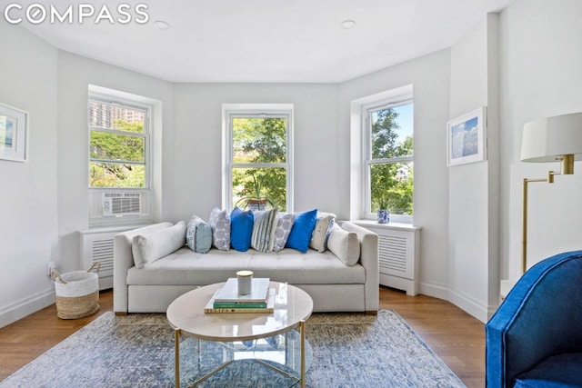 living room with hardwood / wood-style floors