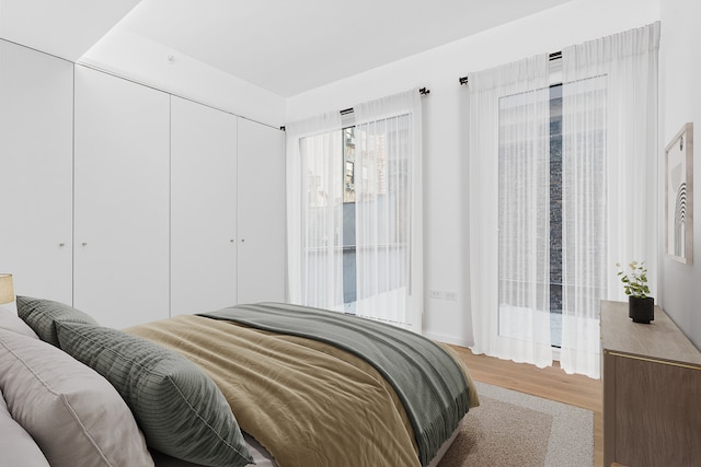330 Grand St Unit 2A, New York City, NY 10002 - bedroom featuring wood finished floors and a closet