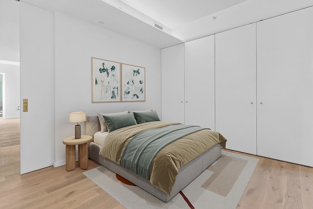 330 Grand St Unit 2A, New York City, NY 10002 - bedroom featuring light wood-style flooring and a closet