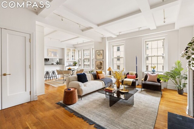 living room featuring track lighting and light hardwood / wood-style floors