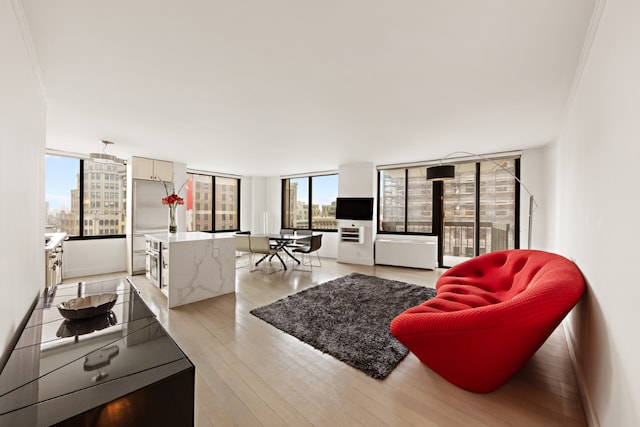 living room with crown molding and light hardwood / wood-style flooring