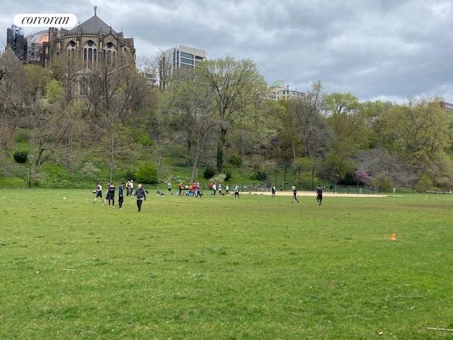 250 Manhattan Ave Unit 1A, New York City, NY 10026 - view of community with a lawn