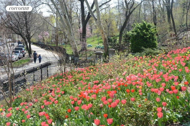 250 Manhattan Ave Unit 1A, New York City, NY 10026 - view of yard