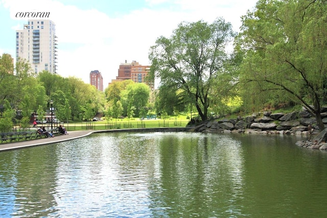 250 Manhattan Ave Unit 1A, New York City, NY 10026 - water view with nearby urban area