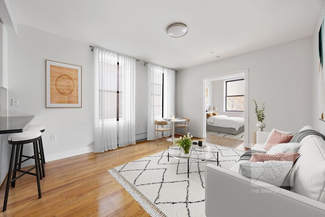 living room featuring light hardwood / wood-style flooring