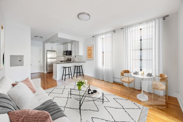 living room featuring sink, electric panel, and light hardwood / wood-style floors