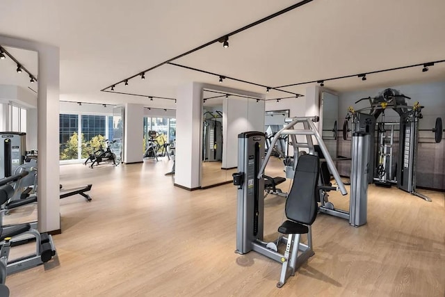 workout area featuring track lighting and light hardwood / wood-style floors