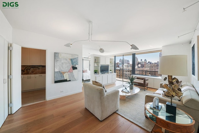 living room featuring light wood-style floors