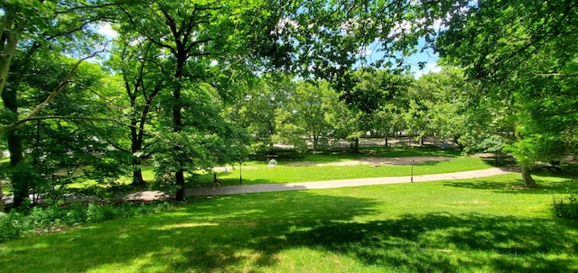 view of property's community featuring a lawn