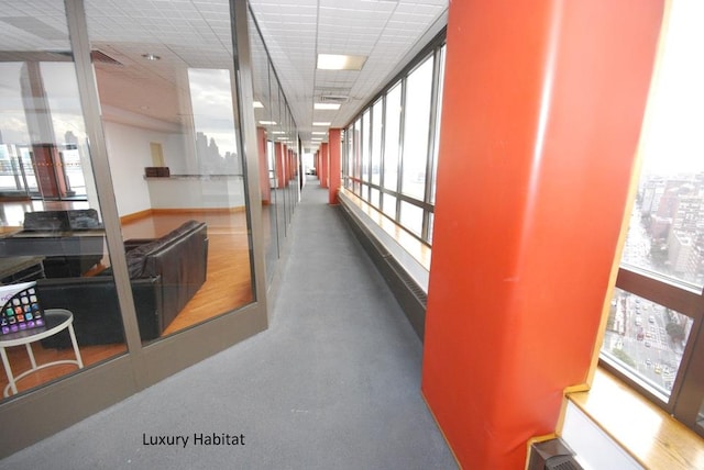 hall featuring plenty of natural light and a drop ceiling