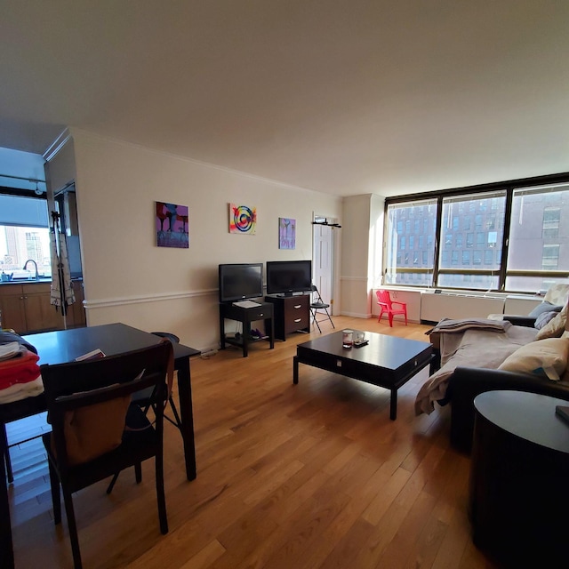 living area with wood finished floors