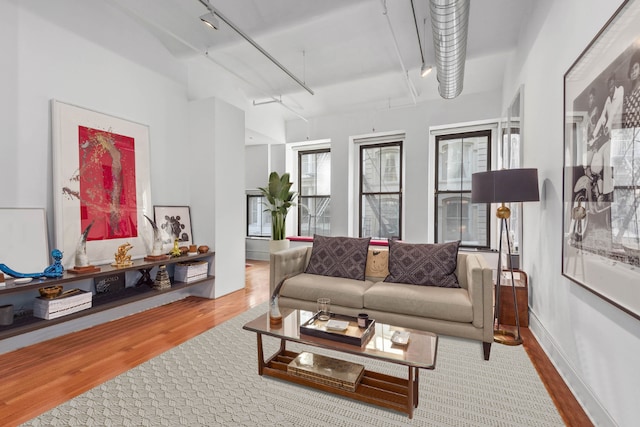 living room featuring hardwood / wood-style floors and track lighting