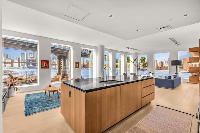 kitchen with an island with sink, light brown cabinetry, sink, rail lighting, and light wood-type flooring