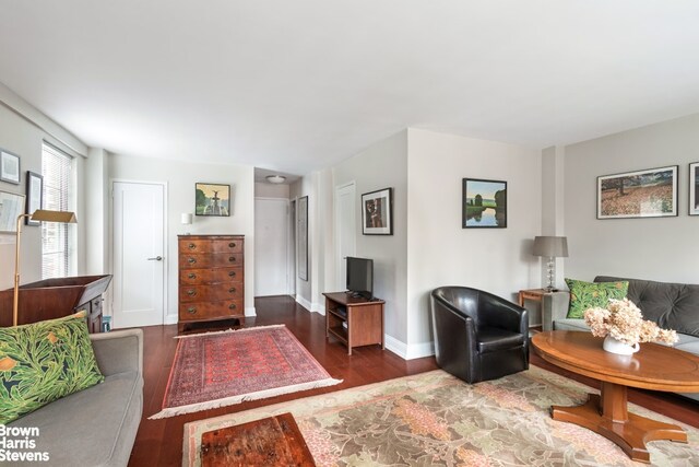 living room with dark hardwood / wood-style floors