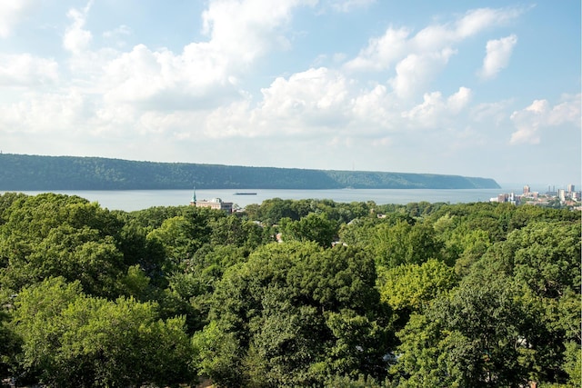 property view of water with a forest view