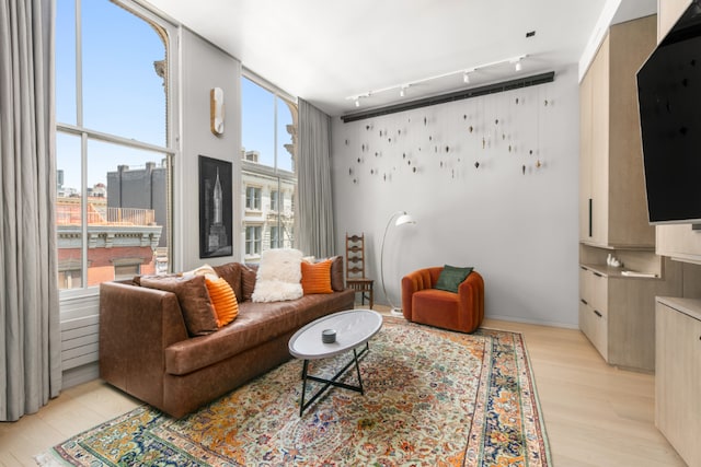 living room featuring light hardwood / wood-style flooring and track lighting