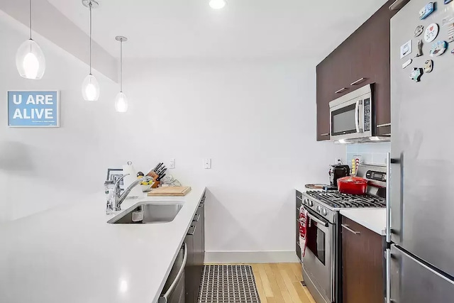 kitchen featuring pendant lighting, dark brown cabinetry, stainless steel appliances, sink, and light hardwood / wood-style flooring