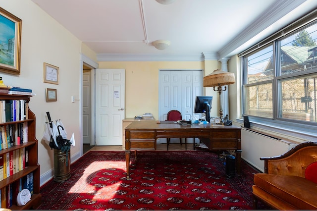 135 Ocean Pkwy Unit 1U, New York City, NY 11218 - office space featuring baseboards and ornamental molding
