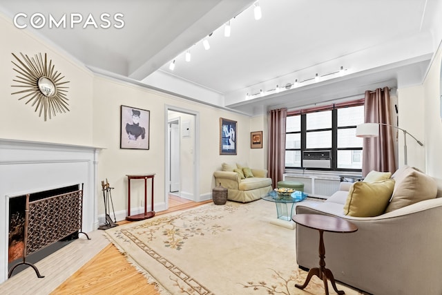 living area featuring radiator, baseboards, a fireplace, rail lighting, and wood finished floors