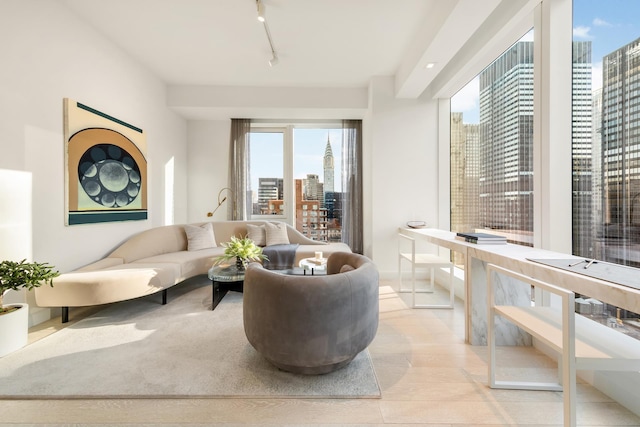 living area featuring a view of city, rail lighting, and light wood finished floors