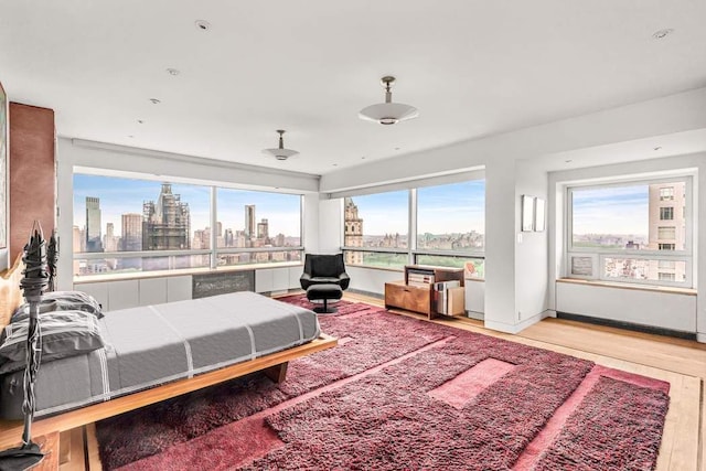 bedroom featuring baseboards, light wood-style floors, and a city view