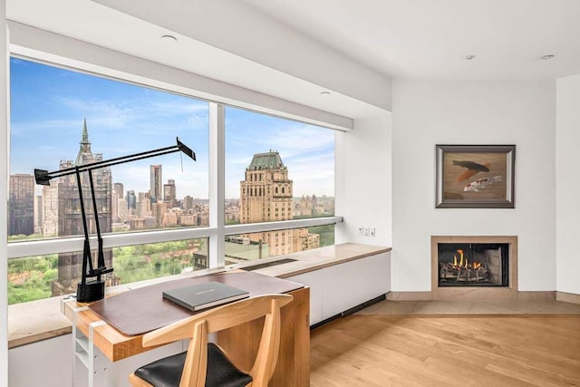interior space featuring a fireplace with flush hearth, a city view, and light wood-style floors
