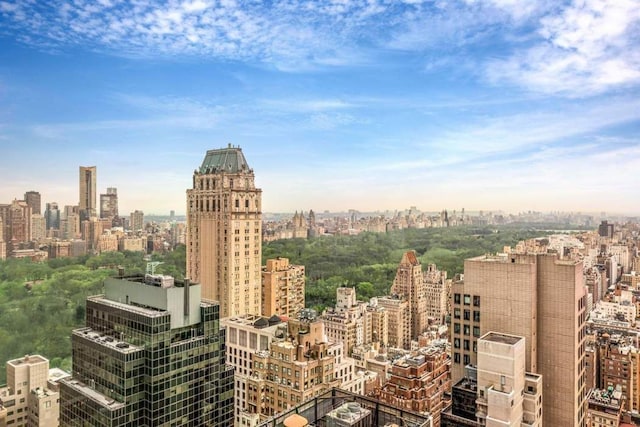 property's view of city