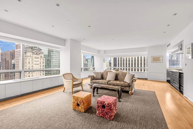 living room featuring a wealth of natural light and light wood-type flooring