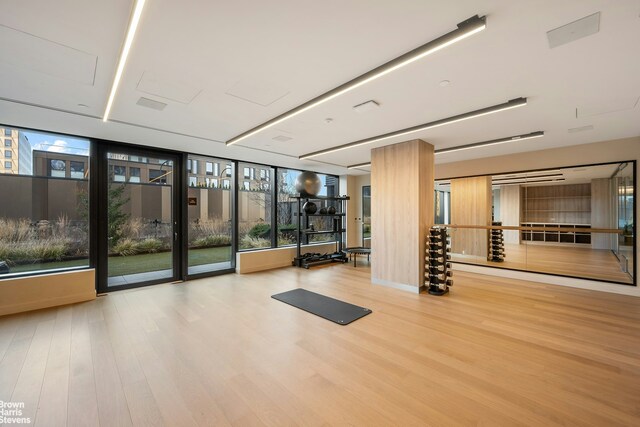 exercise room featuring a wealth of natural light and a wall of windows