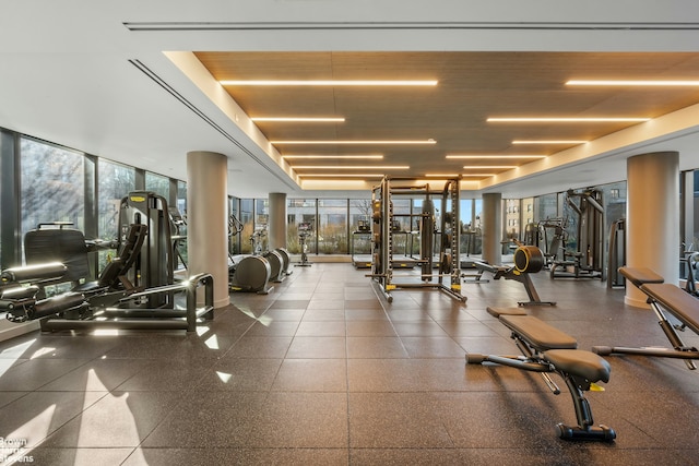 gym with expansive windows